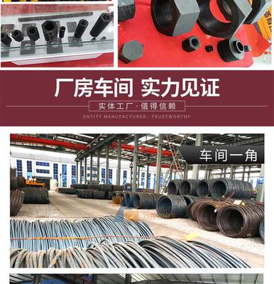 吊籃預(yù)埋套筒螺栓U型套筒螺栓L型套筒螺栓廠家直銷現(xiàn)貨供應(yīng)