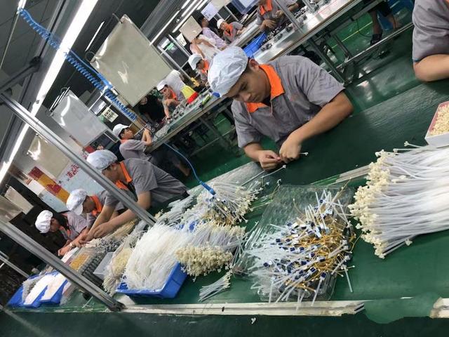 進廠打螺絲怎么了,工人的未來有希望嗎?