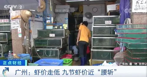 繼太二 慫串之后,九毛九再次切入火鍋賽道 國產蝦價幾乎 腰斬